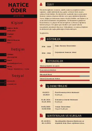 Beslenme Uzmanı Diyetisyen CV Örnekleri cv indir